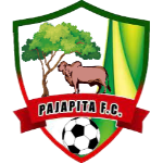 Логотип Pajapita